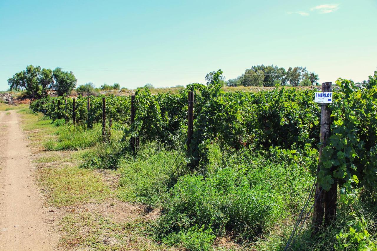 Villa Bezalel Wine&Brandy Estate Kanoneiland Exterior foto